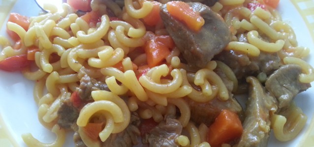 Carne guisada con fideos